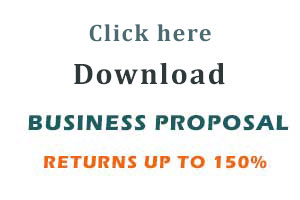 DMIT Business Proposal